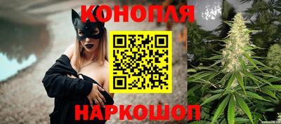 спайс Аша