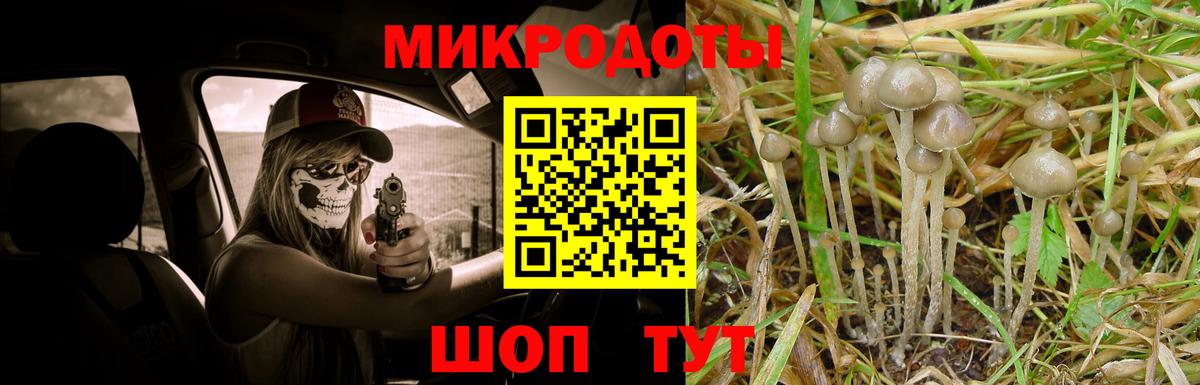 Псилоцибиновые грибы Cubensis  Вход с VPN  Аша 